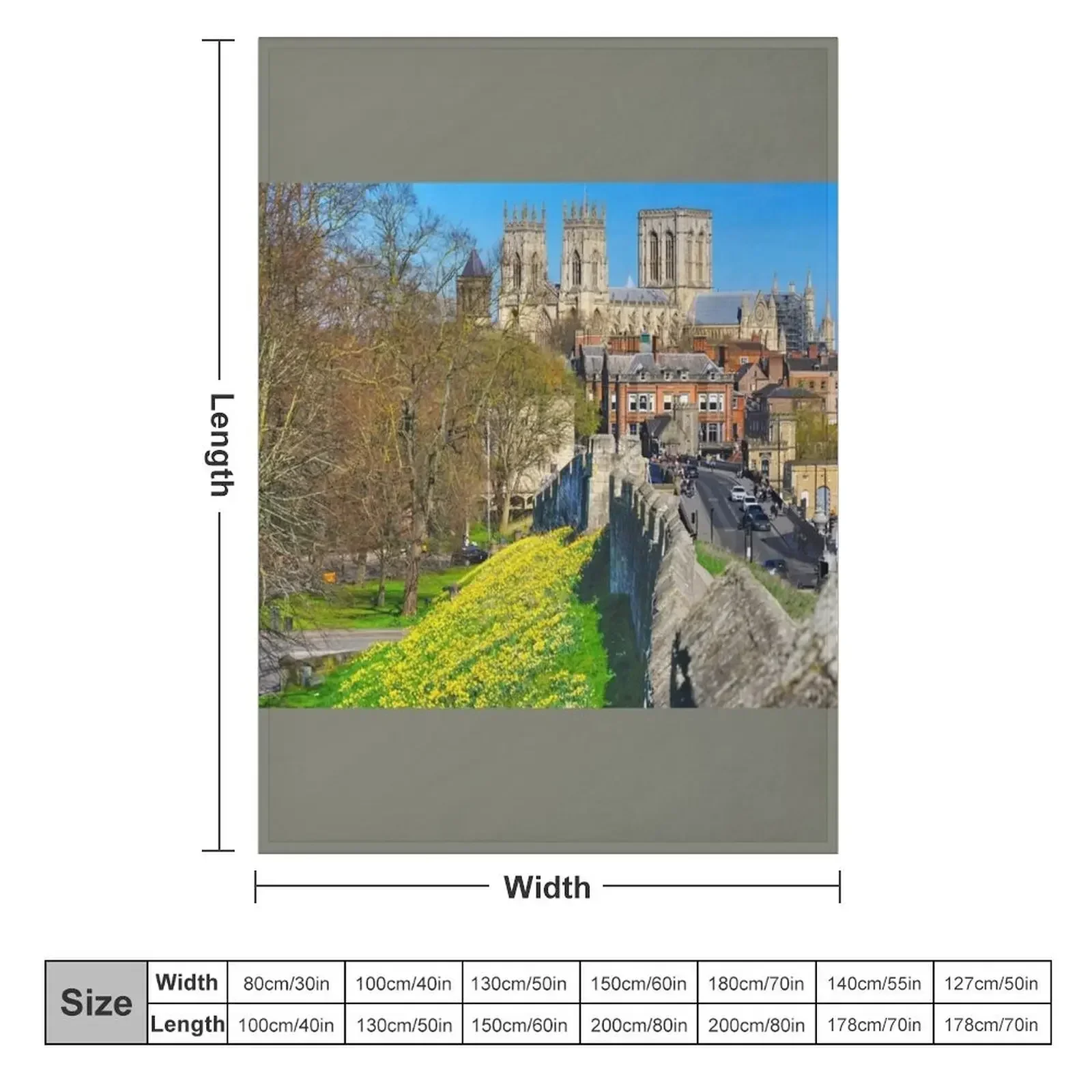 بطانية يورك مينستر، بطانية مري - مراجعة 3D Printing York وسعره