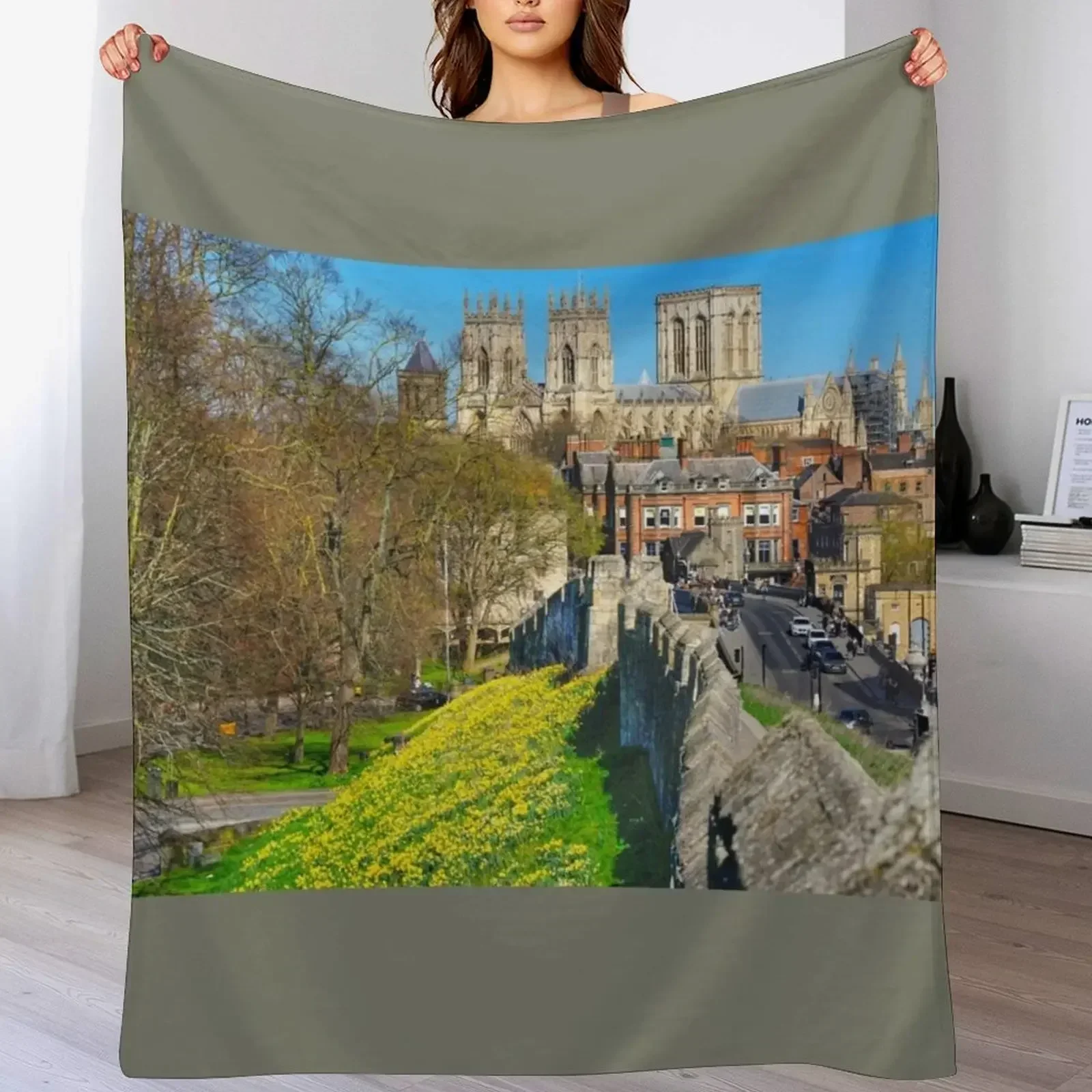 بطانية يورك مينستر، بطانية مري - مراجعة 3D Printing York وسعره